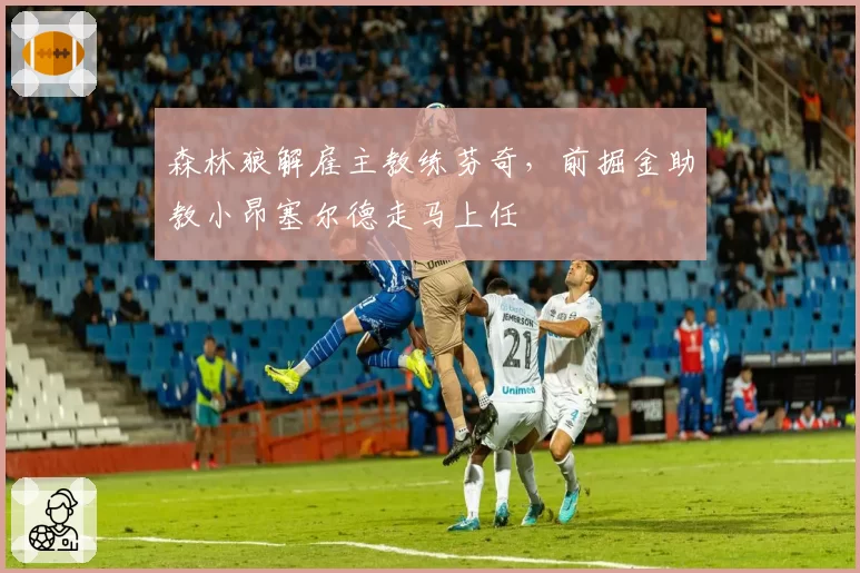 森林狼解雇主教练芬奇，前掘金助教小昂塞尔德走马上任